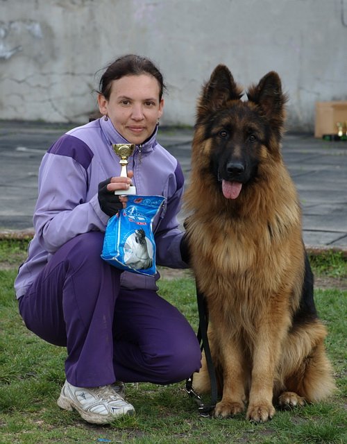 1-е отлично, САС, ВОВ, ЛК, BIS &ndash; 5 на выставке UCI в Симферополе 17.04.11 г. Судья - Слава Н. (Украина).jpg