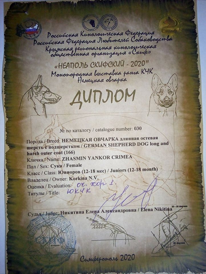1.08.20_моно_3_диплом.jpg