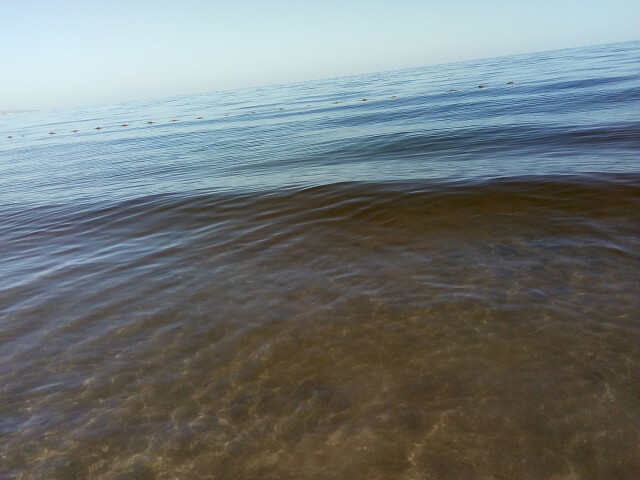 11.09.sea2_.jpg