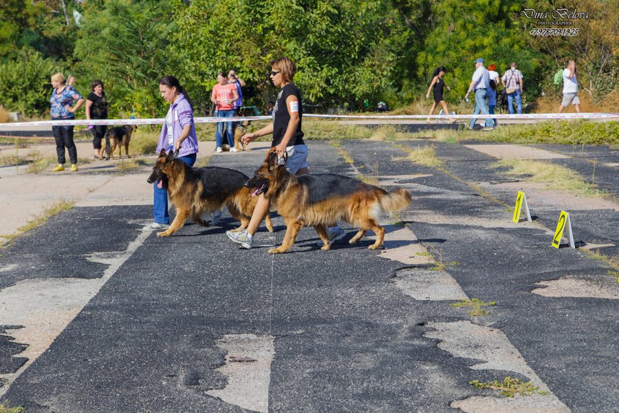 26.09.2015_ркф_севастополь_2.jpg