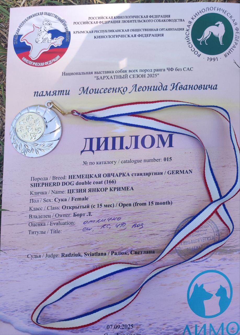9.09.25_Симферополь_диплом.jpg