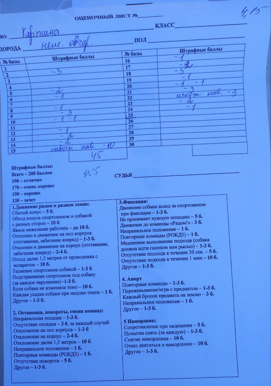 Ralli_okdens_29_10_23_bally.jpg