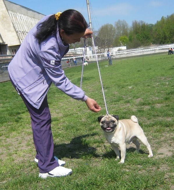 _РКФ_2.05.2015_4.jpg